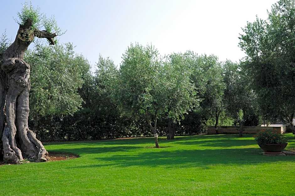 L'Ulivo Bed and Breakfast