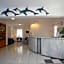Dolphin Hotel