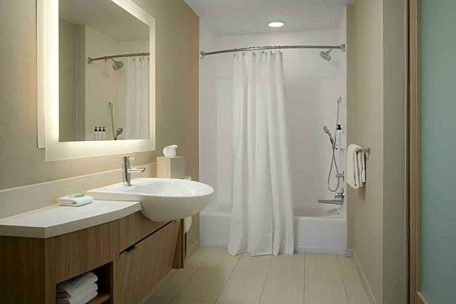 SpringHill Suites by Marriott Tampa Downtown