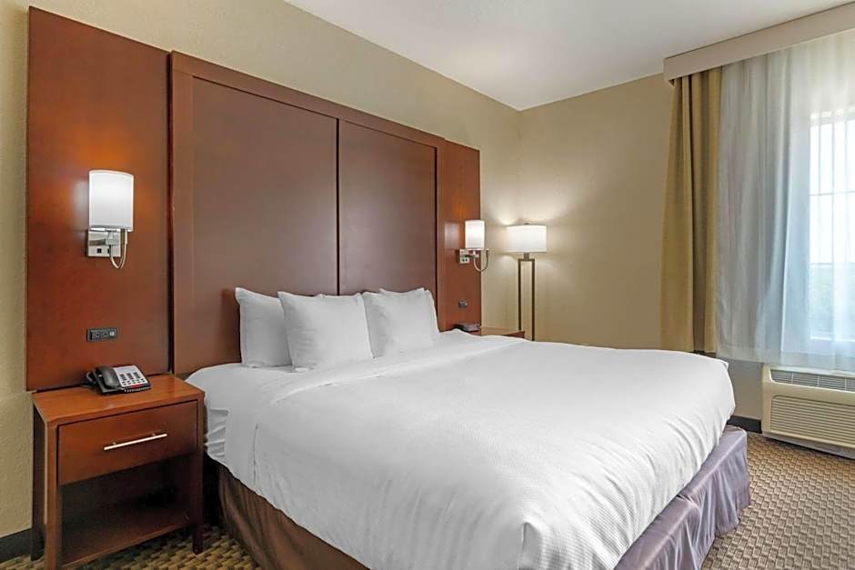 Comfort Inn & Suites Near Six Flags & Medical Center
