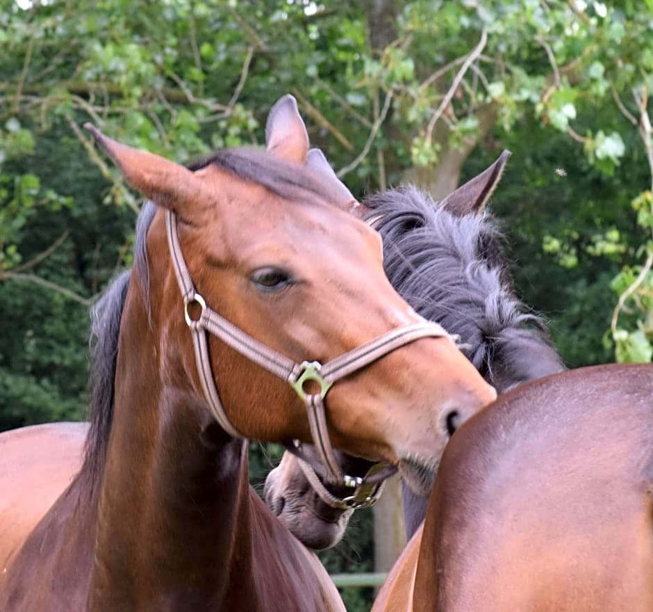 Westert Hoeve