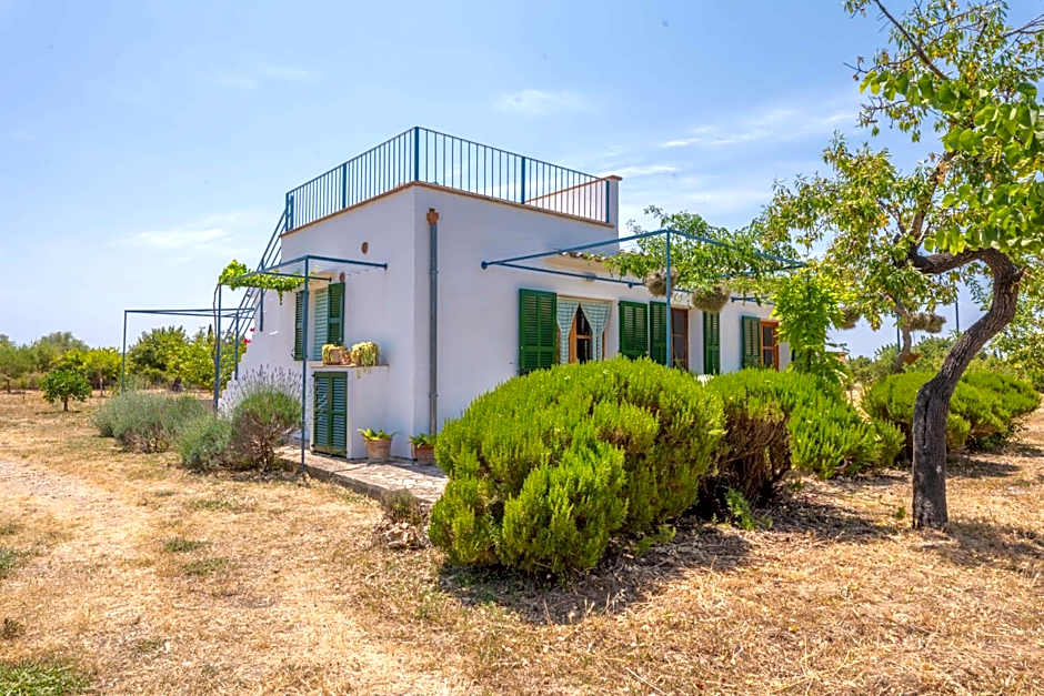 Ses Planes -Ca Na Faustina-