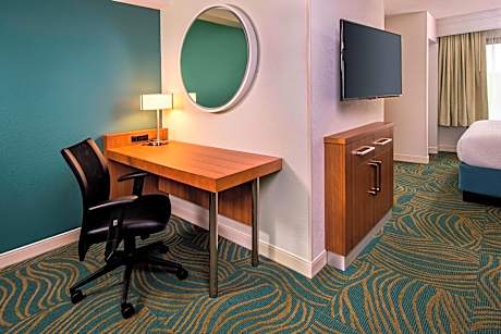 Suite, 1 King Bed with Sofa bed (Hearing Accessible) (1 King Bed and 1 Double Sofa Bed)
