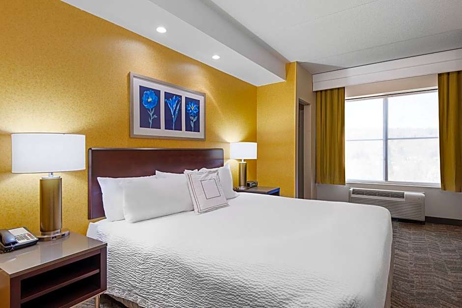 Photo 1 of 7 of 1 King Bed with Trundle Bed Suite