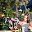 Rolly - Rooms & Restaurant