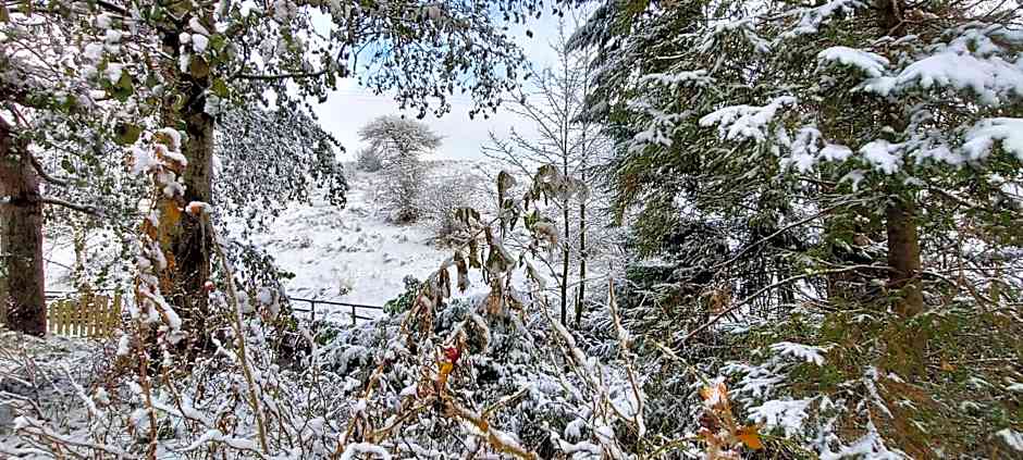 Trawden Arms Community Owned Pub