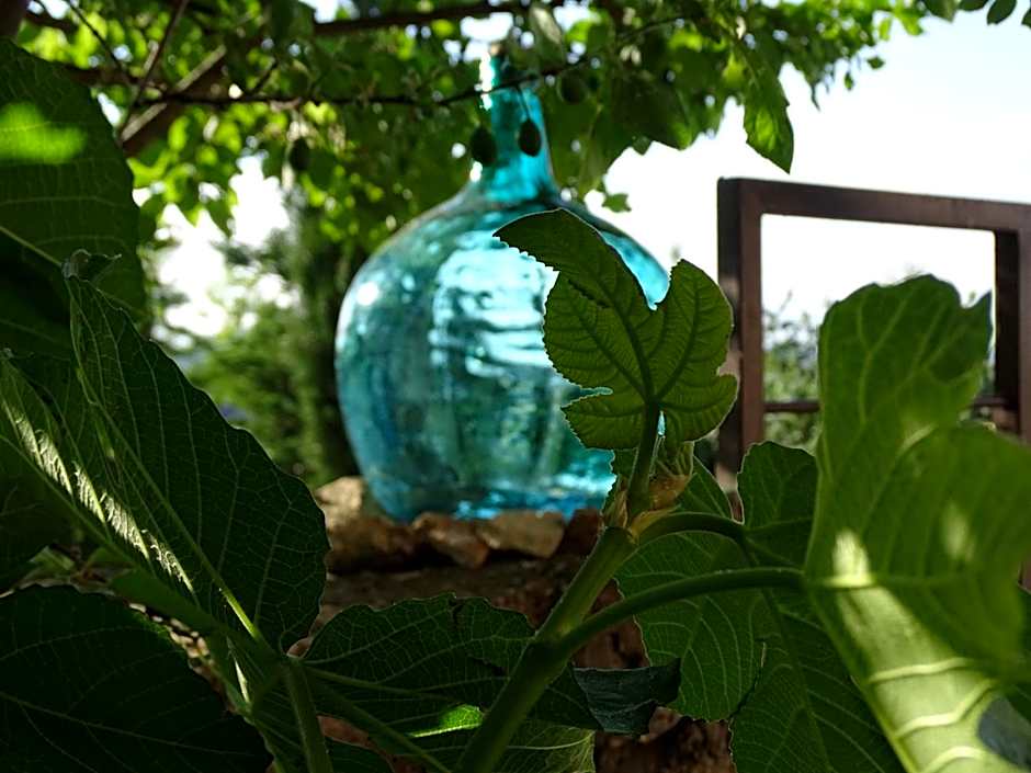 Hotel Cardamomo Sigüenza