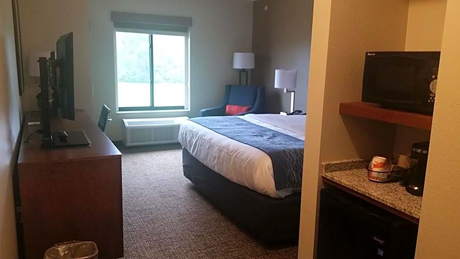 Comfort Inn White House