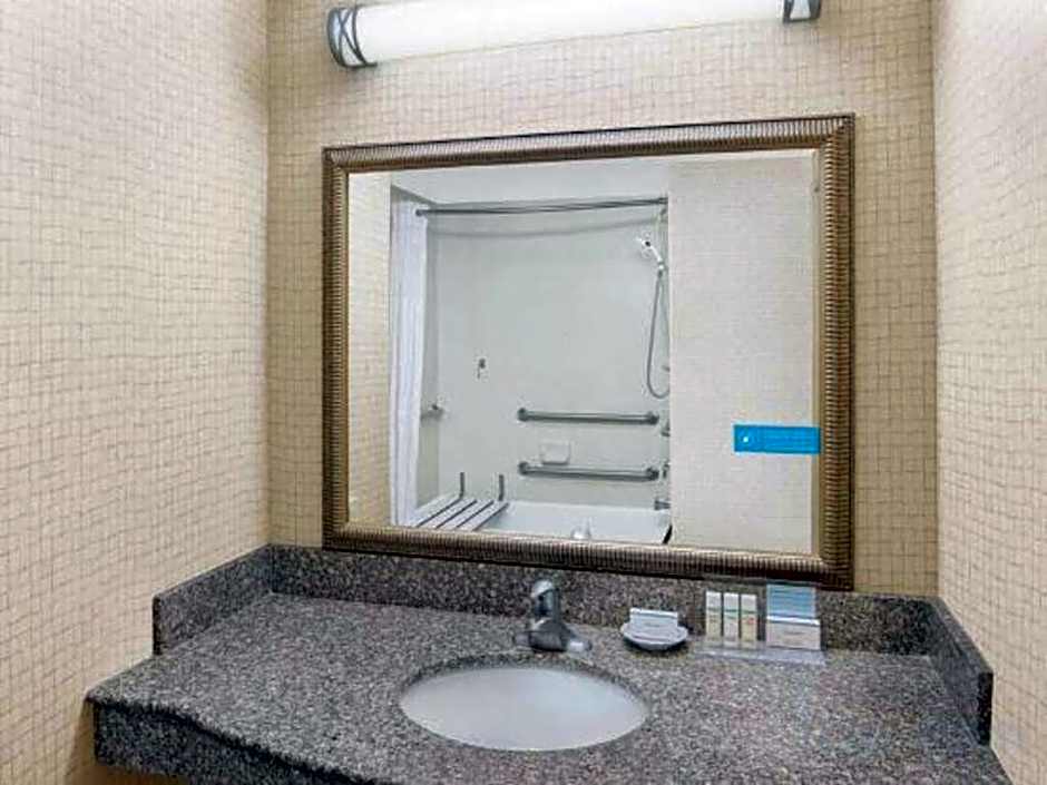 Hampton Inn By Hilton And Suites Savannah-Airport