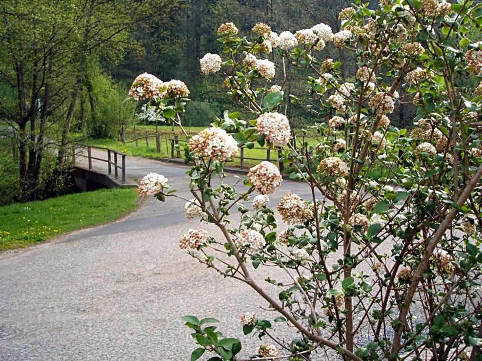 Gasthof & Landhotel Ohrnbachtal