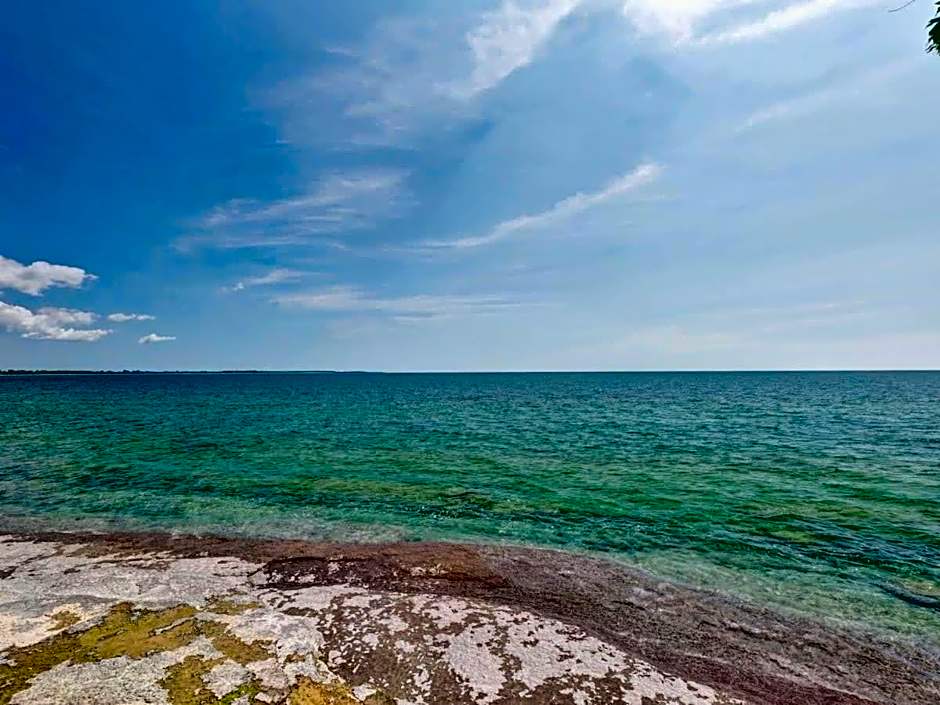 Wind & Waves - Wellington waterfront with Satellite TV & fire pit