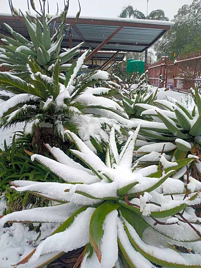 Blessings Guesthouse