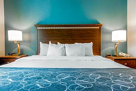 1 King Bed Suite Nonsmoking Accessible