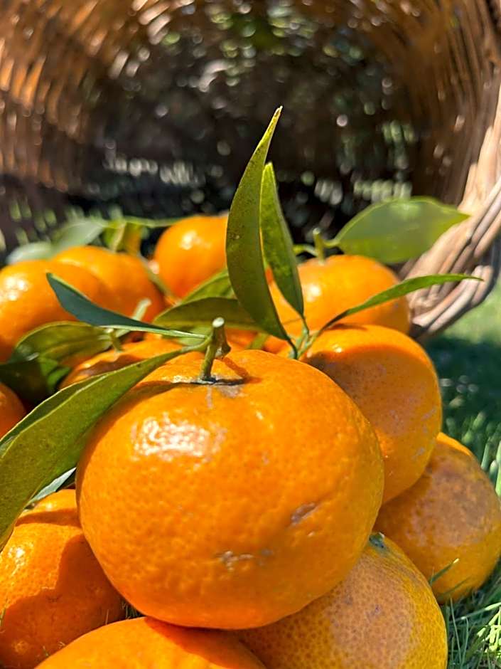 S'Arenada Hotel - Adults Only