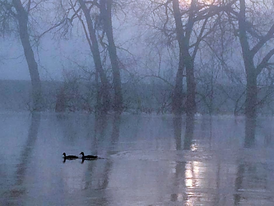 Severnside Bed & Breakfast