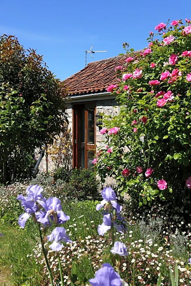 The Potting Shed, self contained, detached retreat in Shapwick village