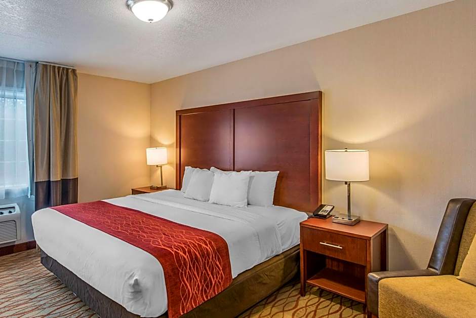 Comfort Inn Mount Shasta Area