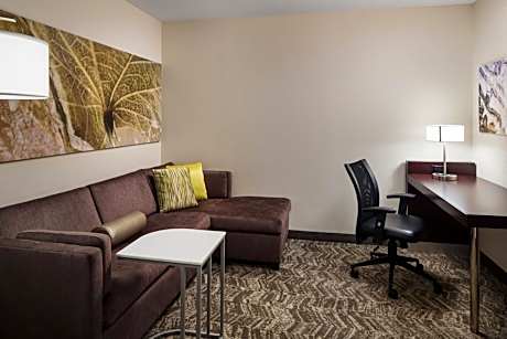 King Suite with Sofa Bed