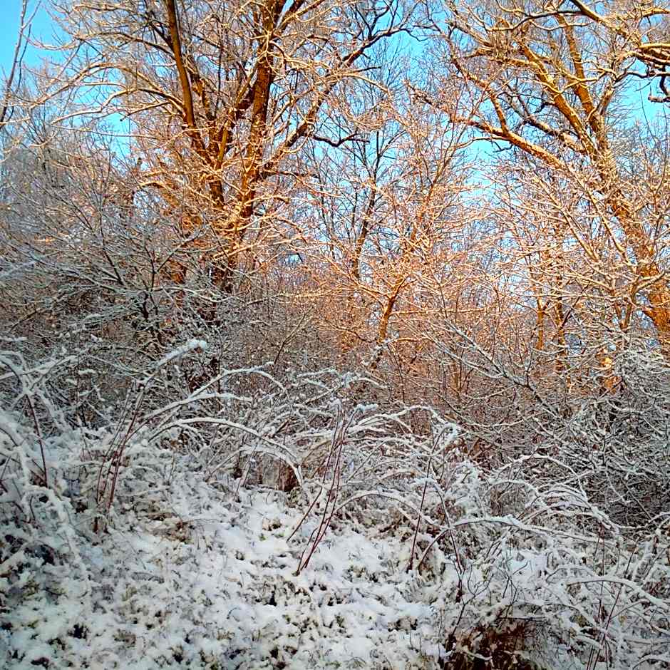 Our Valley View Bed & Breakfast