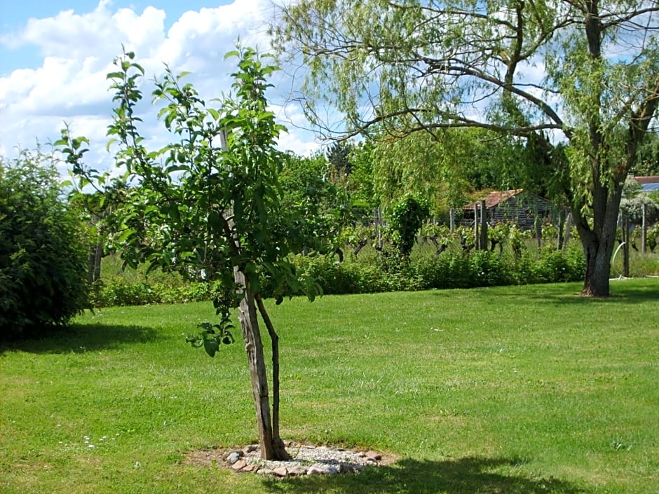 Le Chalet des Vignes