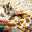 Marguery Villas by MJ Holidays