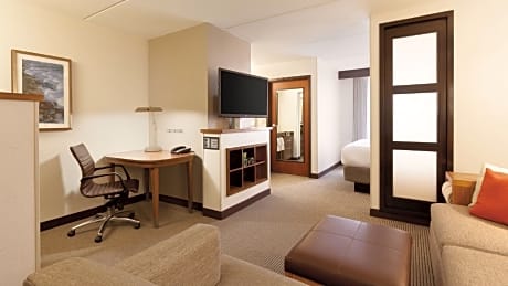 King Room with Sofa Bed and Accessible Tub - Disability Access