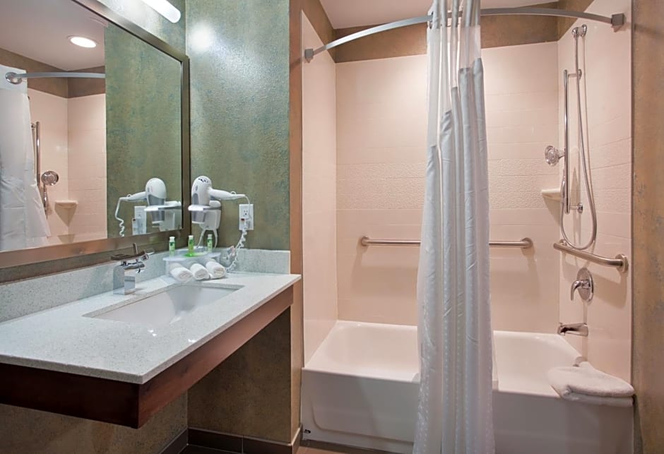 Holiday Inn Express Hotel & Suites St. Louis - NE Lambert Field