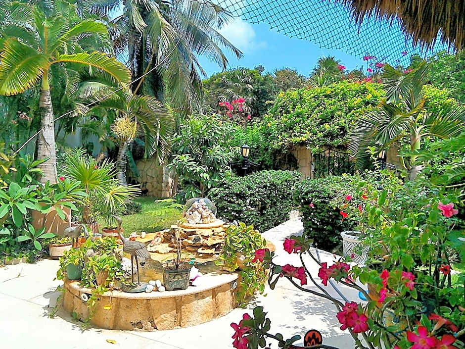 Casa Gatos