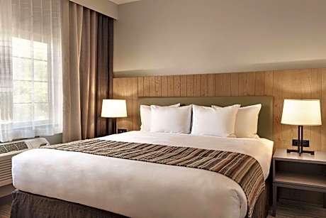 1 King Bed, Nonsmoking, Accessible