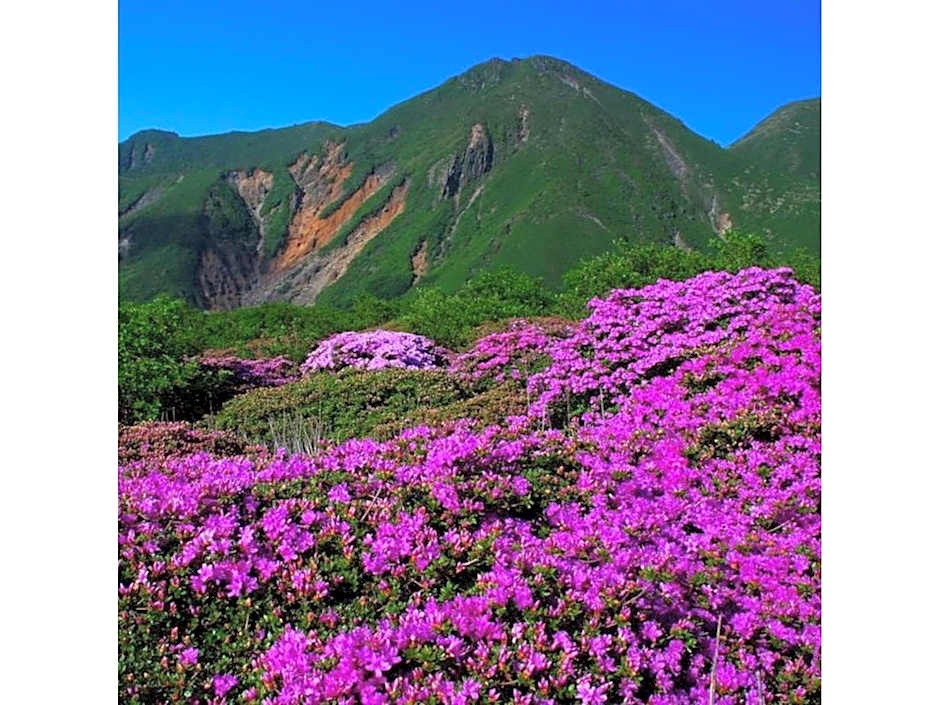 Resonate Club Shape - Vacation STAY 60135v