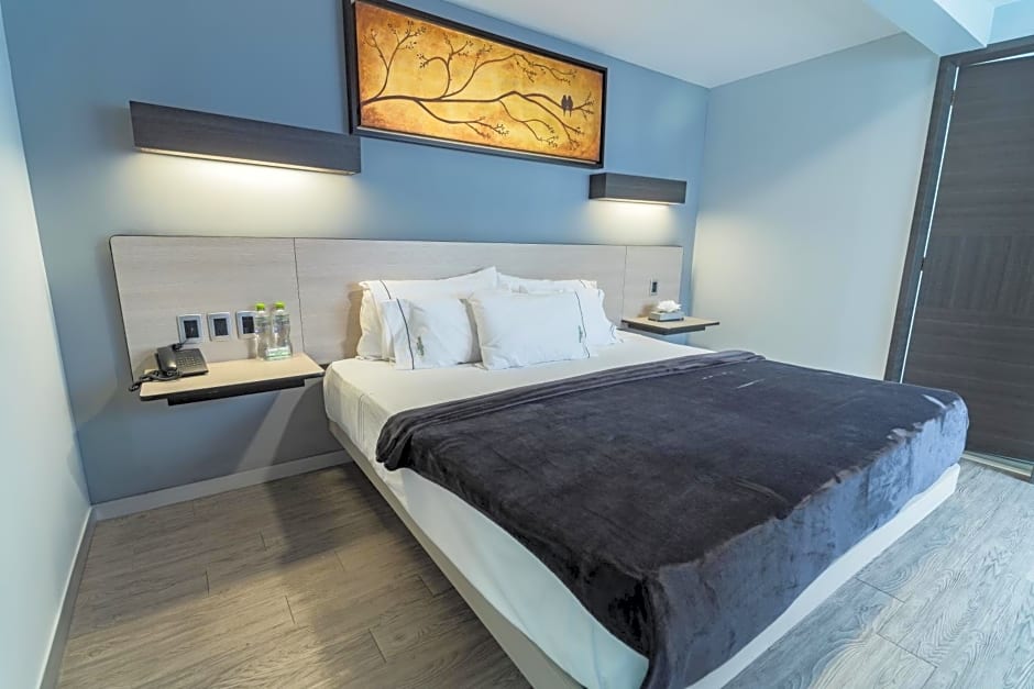 HOTEL LEMON GREEN -Zona Expo Frente al Centro de Convenciones