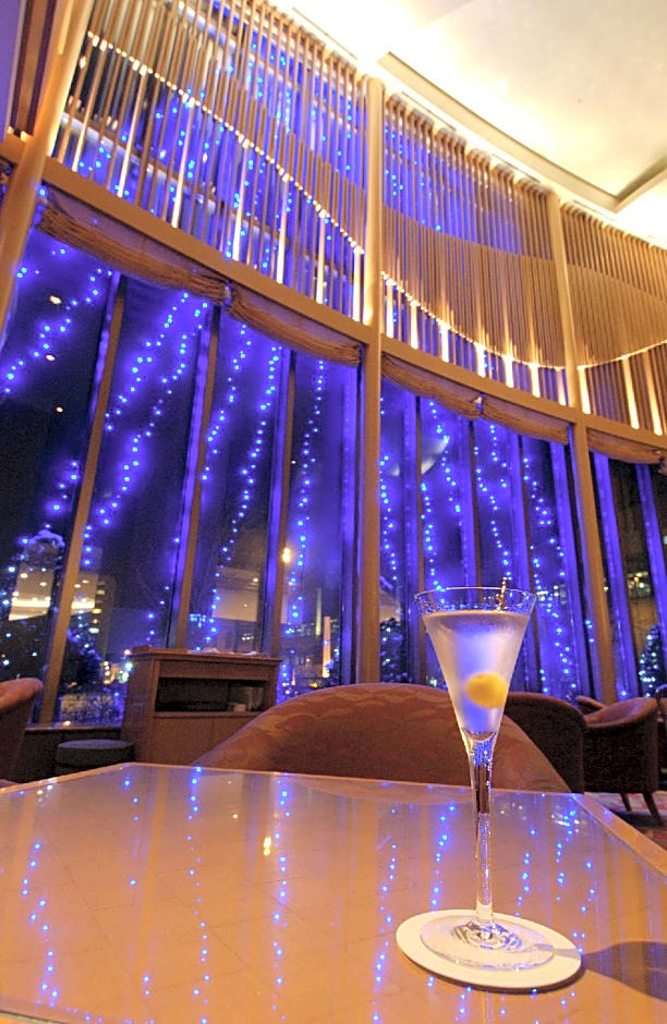 Hotel Nikko Northland Obihiro