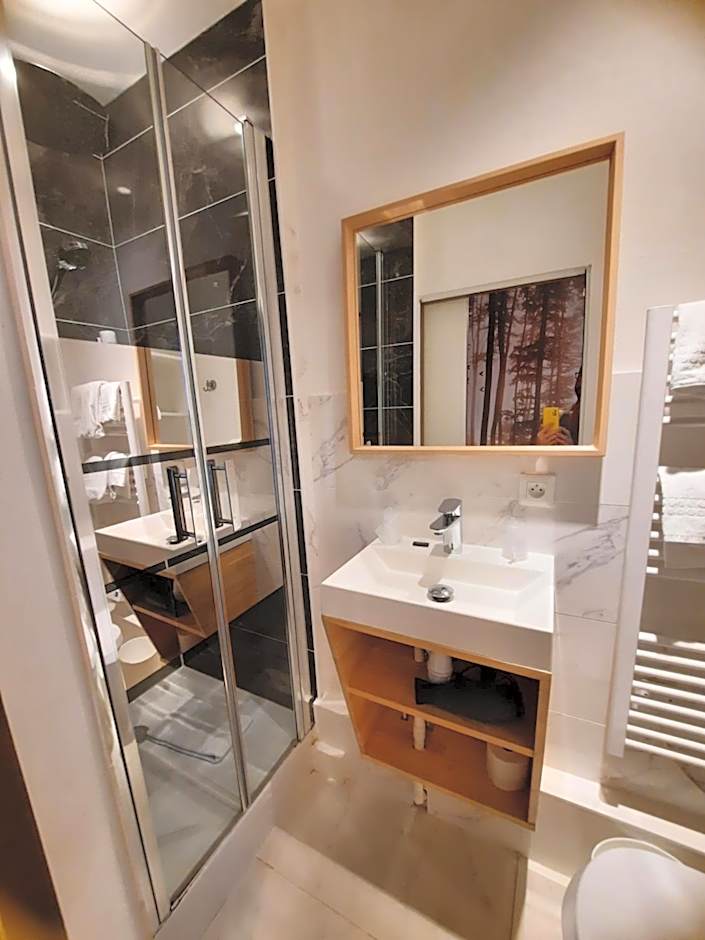 Hotel Du Cygne Tours