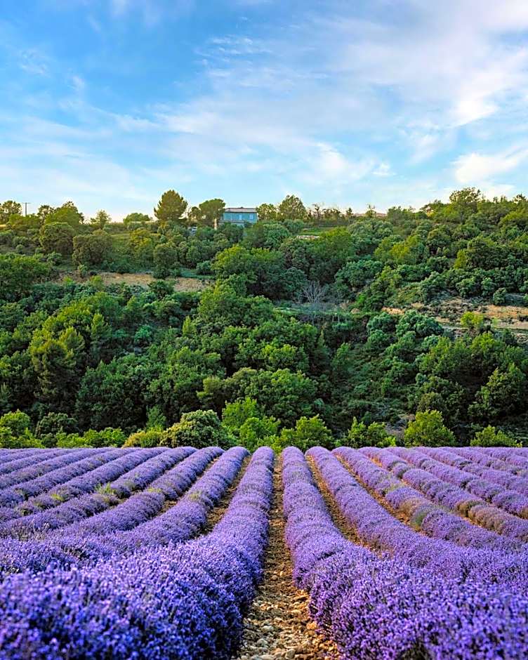 Domaine Ribiera, Hotel 5 Etoiles, SPA & Golf - Forcalquier