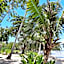 Eastwind Beach Club- El Nido