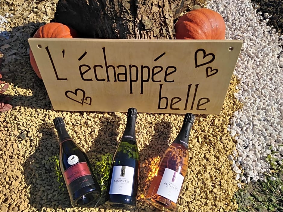 l'échappée belle en Champagne