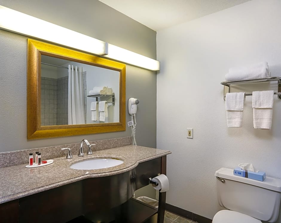 SureStay Hotel by Best Western New Buffalo