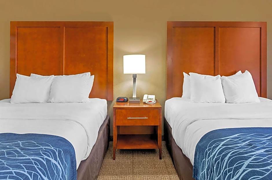 Comfort Inn & Suites Lynchburg Airport - University Area