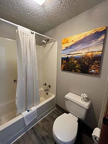 1 King Bed Non-Smoking