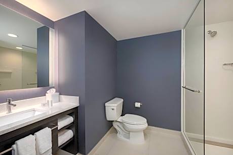 King Studio with Sofa Bed and Roll-in Shower - Mobility and Hearing Accessible