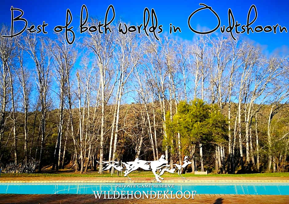 Wildehondekloof Game Lodge