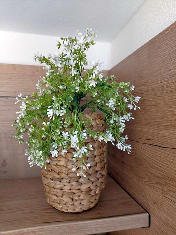 Albi Haus Winterberg