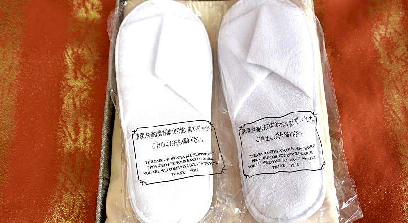 Web Hotel Tokyo Asakusabashi