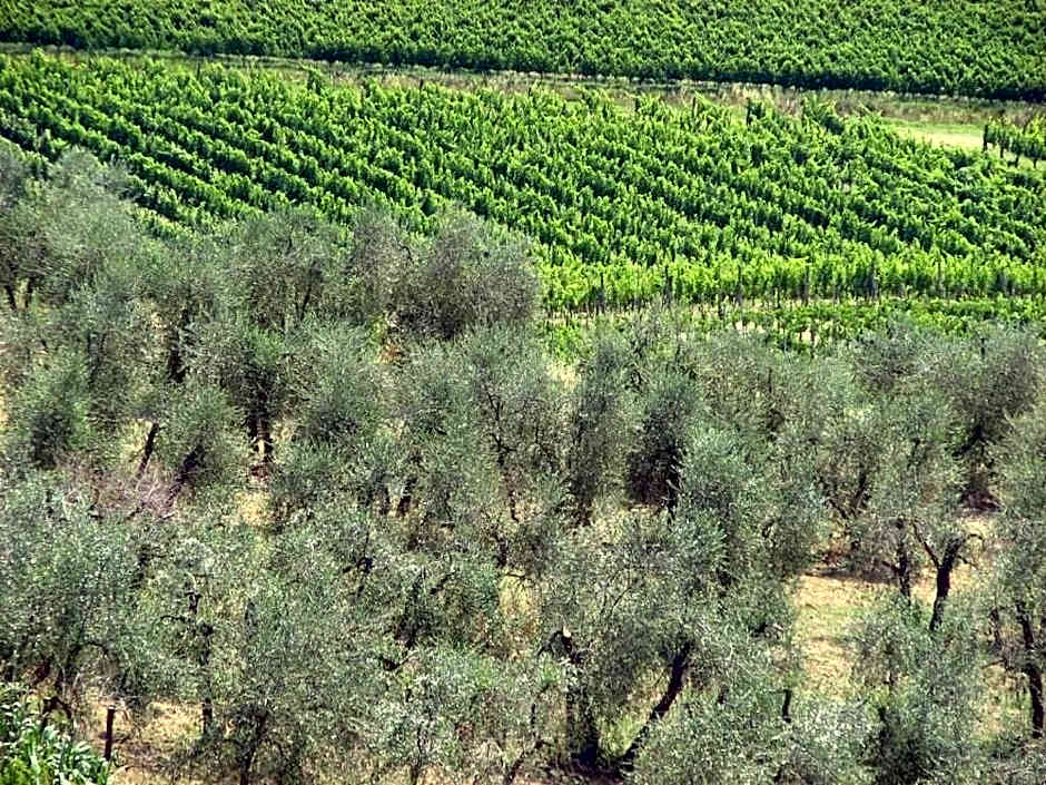 Quattro Torra Residenza d Epoca
