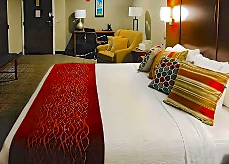 1 King Bed Nonsmoking Accessible