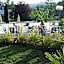 Hotel le Foron