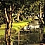 Coconut Lagoon Kumarakom- A CGH Earth Experience