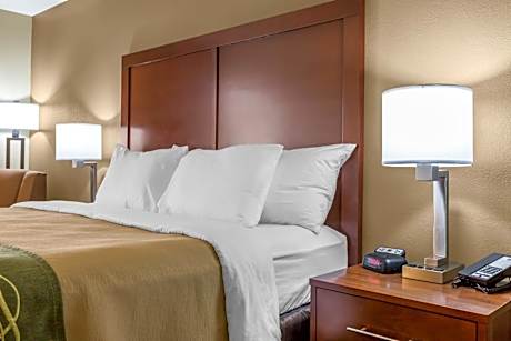 1 King Bed, Nonsmoking, Accessible