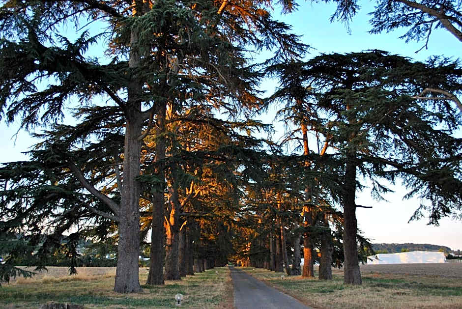 Logis Hotels - Château Saint Marcel