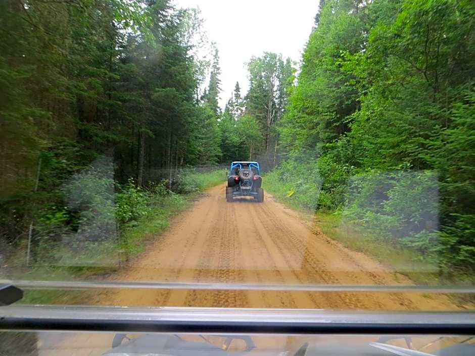 La maison sous les arbres